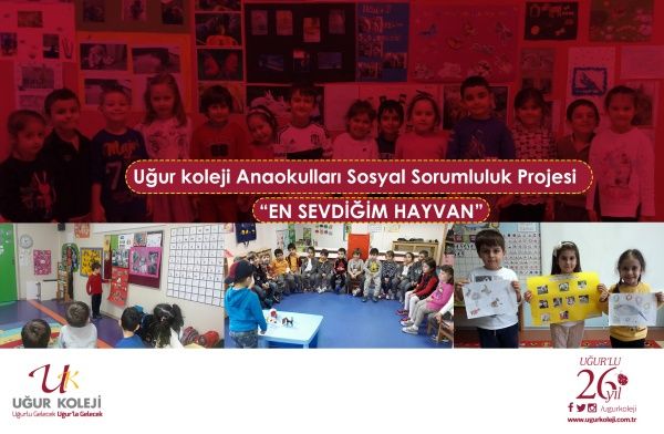 EN SEVDİĞİM HAYVANI PROJESİ