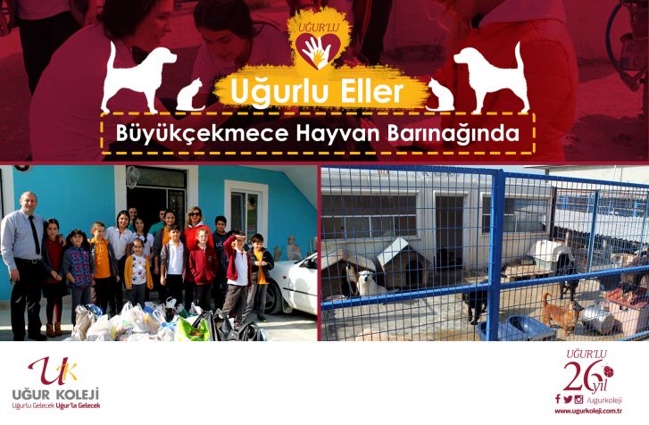 Uğurlu Eller Büyükçekmece Hayvan Barınağında