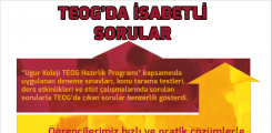 TEOG'da İsabetli Sorular