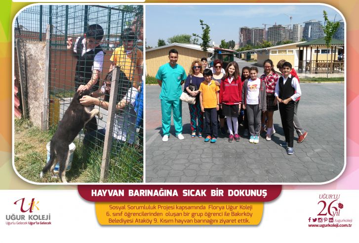 Hayvan Barınağına Sıcak Bir Dokunuş