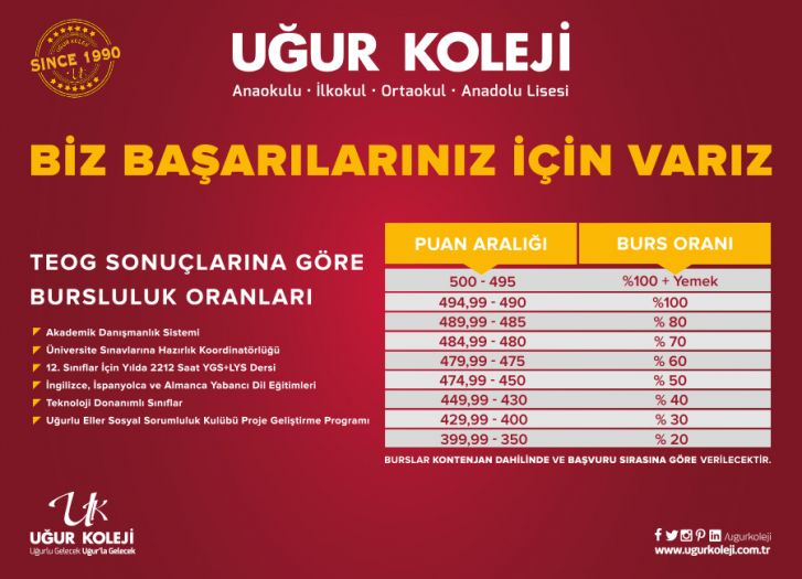 TEOG Sonuçlarına Göre Bursluluk Oranları