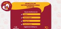 Uğurlu Eller Hayvan Barınaklarına Uzanıyor