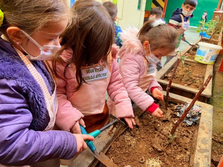 Bilişim Teknolojileri “Çimlenen Gazete” Eko-Okul Projesi